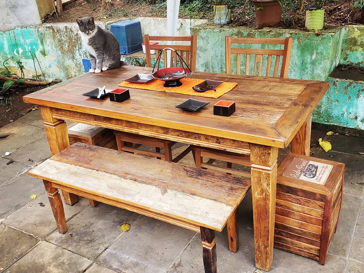 Mesa de madeira posta no jardim da loja, com banco ao fundo e a parede esverdeada tomada por plantas